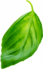 basil2.png